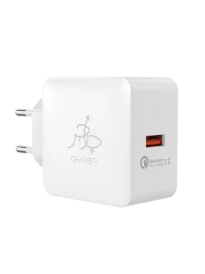Blaze 18W Charger