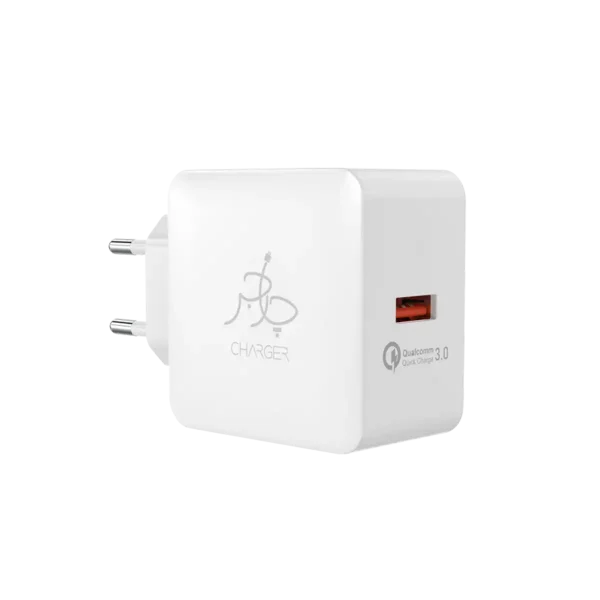 Blaze 18W Charger