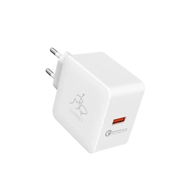 Blaze 18W Charger