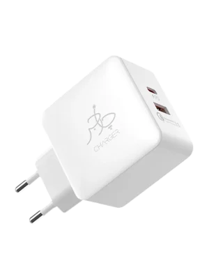 Blaze 25W PD