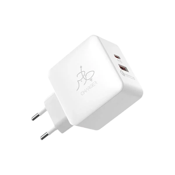 Blaze 25W PD Charger - With USB-C to USB-C Cable